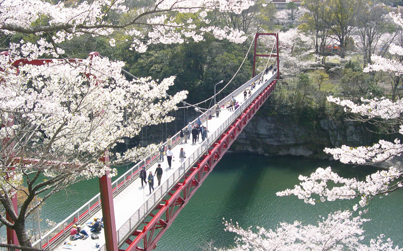 樱渊公园