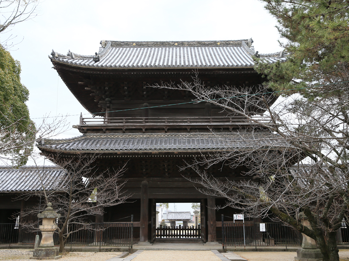 岡崎 大樹 寺