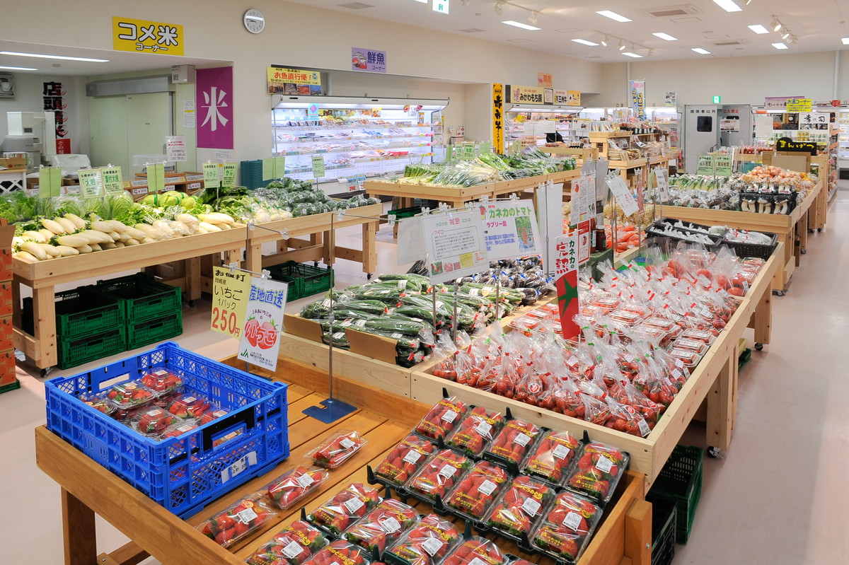 Roadside Station "Michi-no-Eki" Fujikawashuku