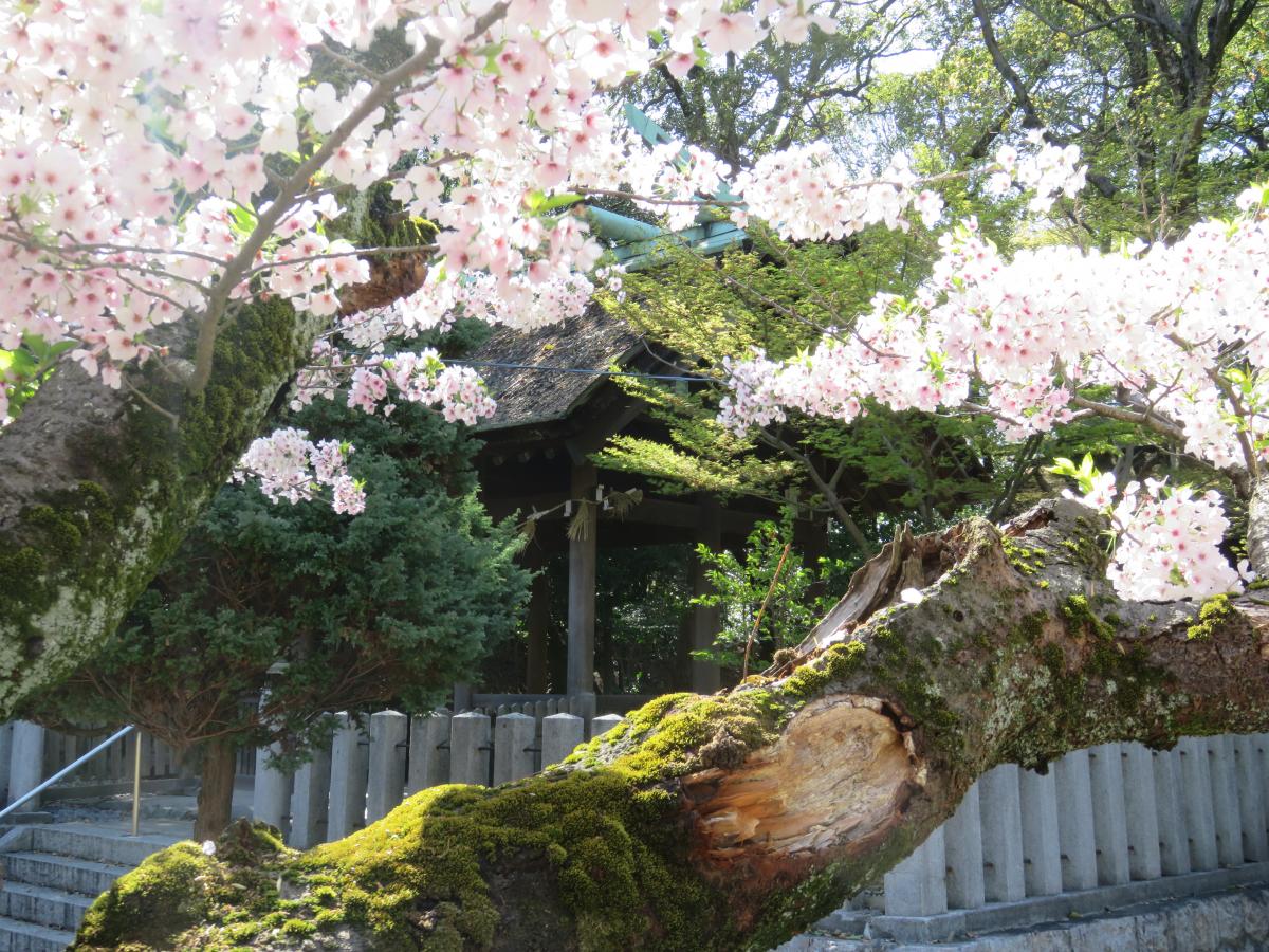 Nishio Castle