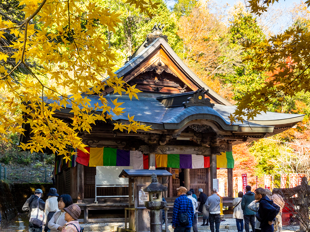 川見藥師寺・川見四季櫻之鄉