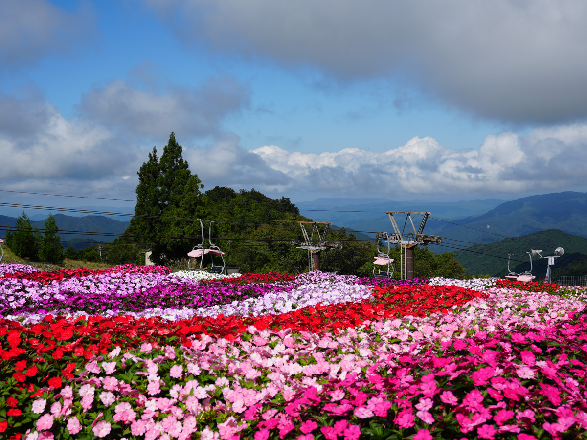Mt. Chausu Highland