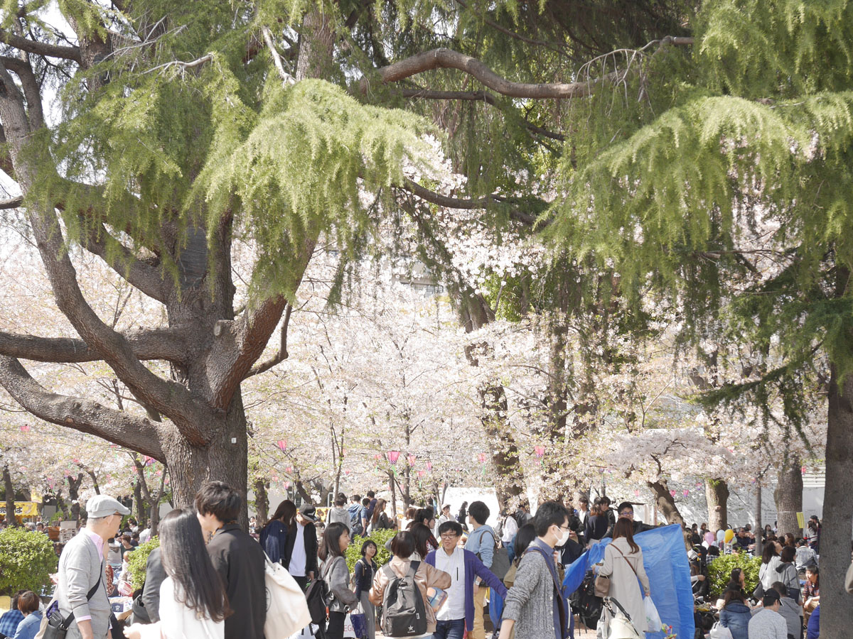 Tsuruma Park