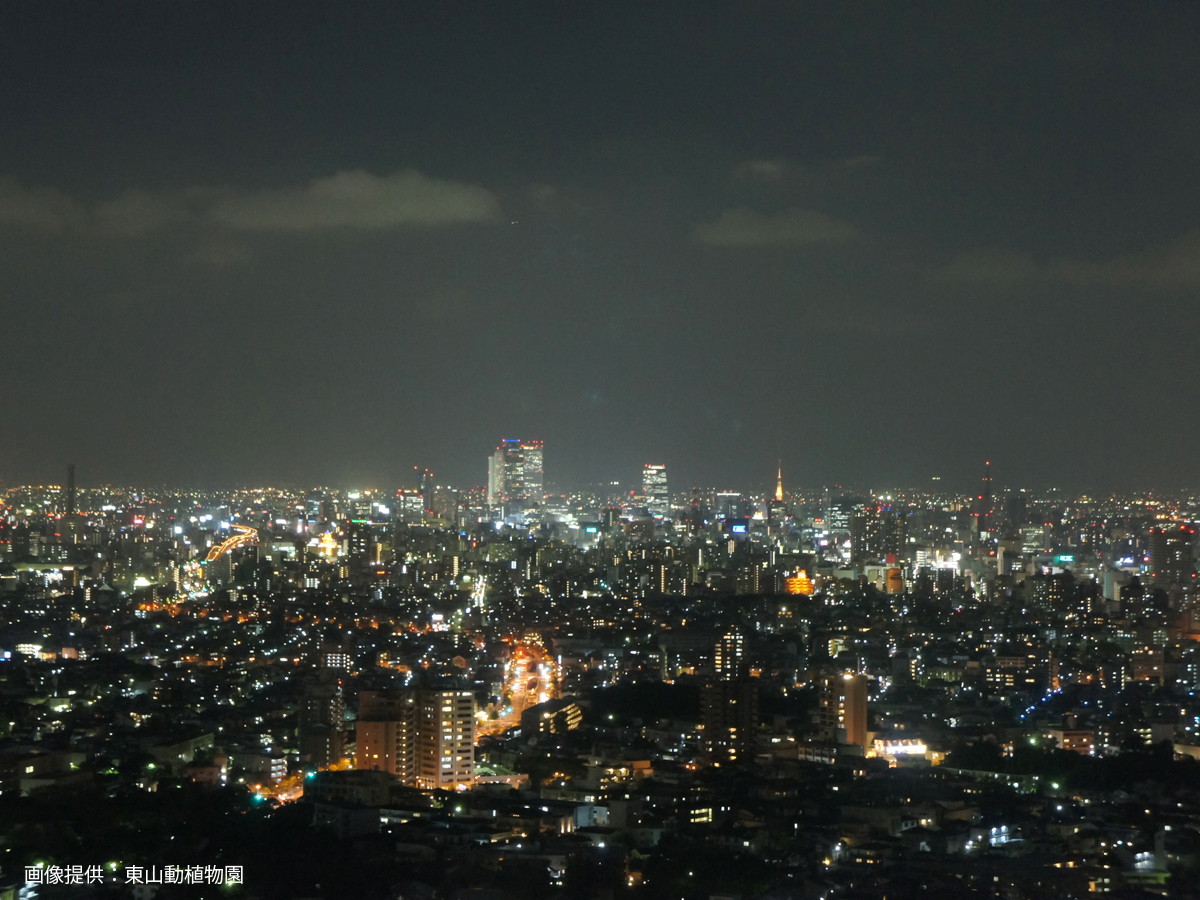 สวนสัตว์และสวนพฤกษศาสตร์ฮิกาชิยามะ และฮิกาชิยามะ สกายทาวเวอร์