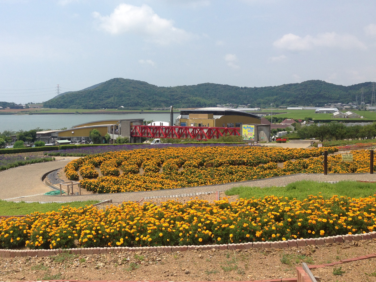 Sante Park Tahara 