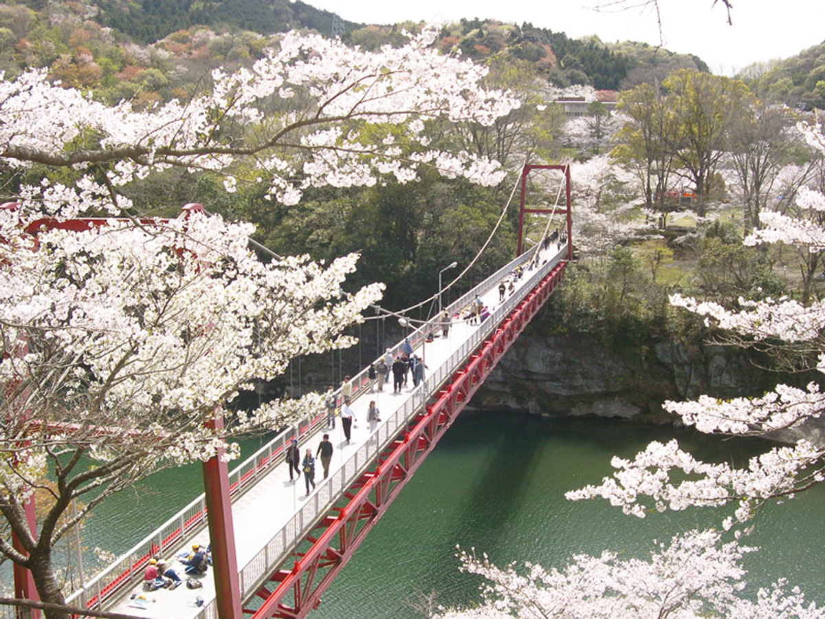 Sakurabuchi Park
