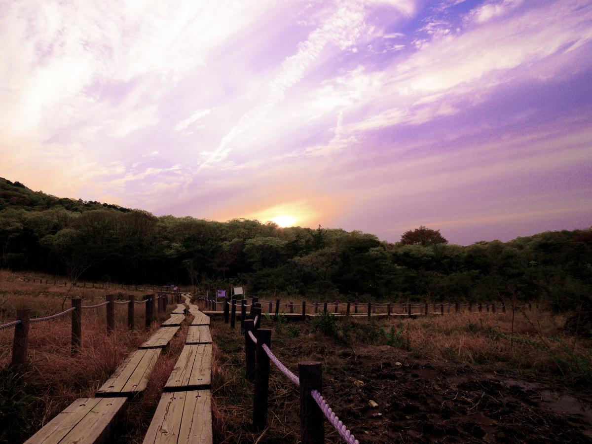 Imo Wetlands
