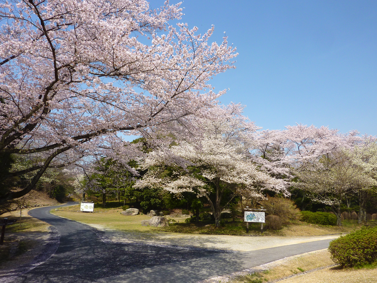 愛知縣森林公園