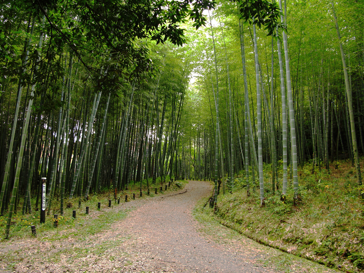 愛知縣森林公園