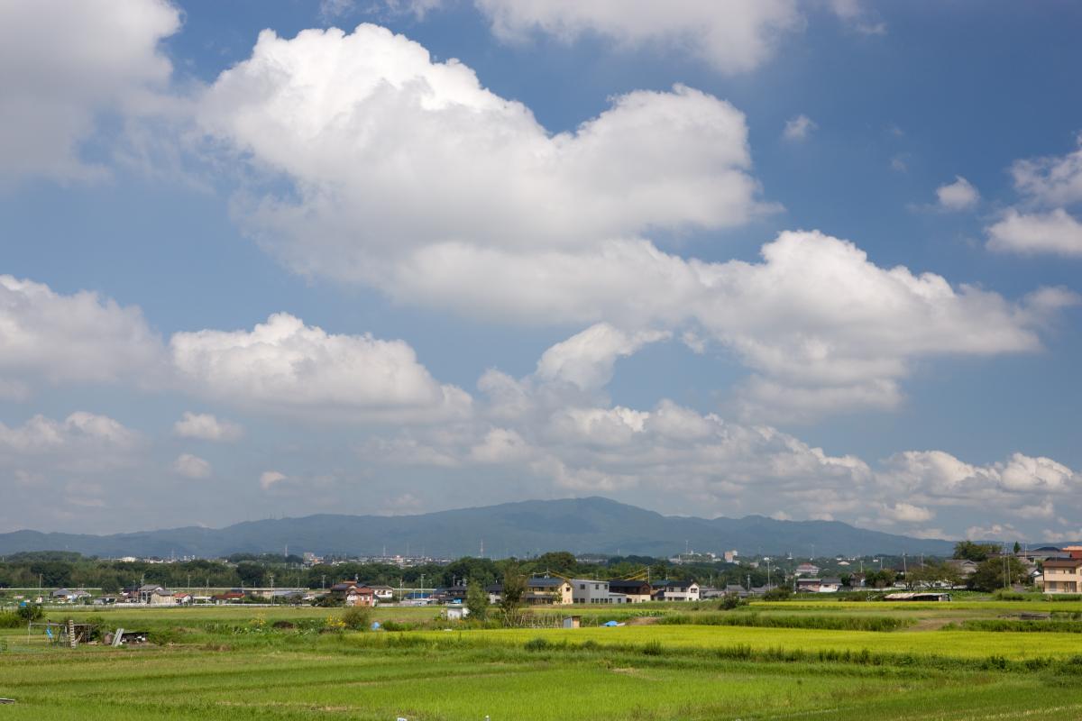 사나게야마