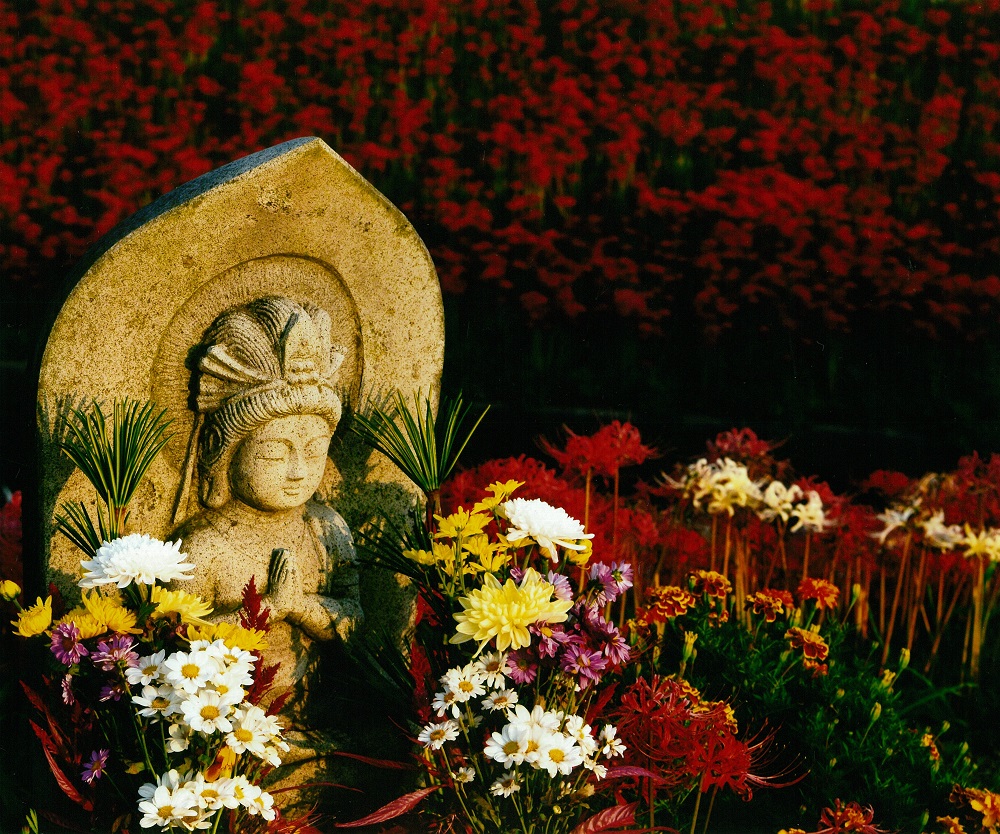 矢勝川(彼岸花)