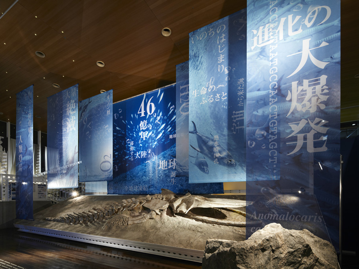 Gamagori Natural History Museum Sea of Life
