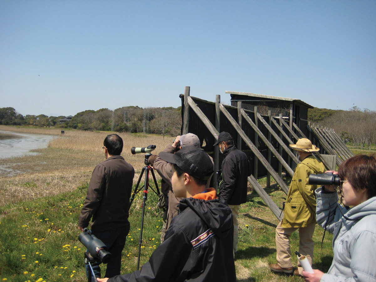 Aichi Prefectural Yatomi Wild Bird Sanctuary