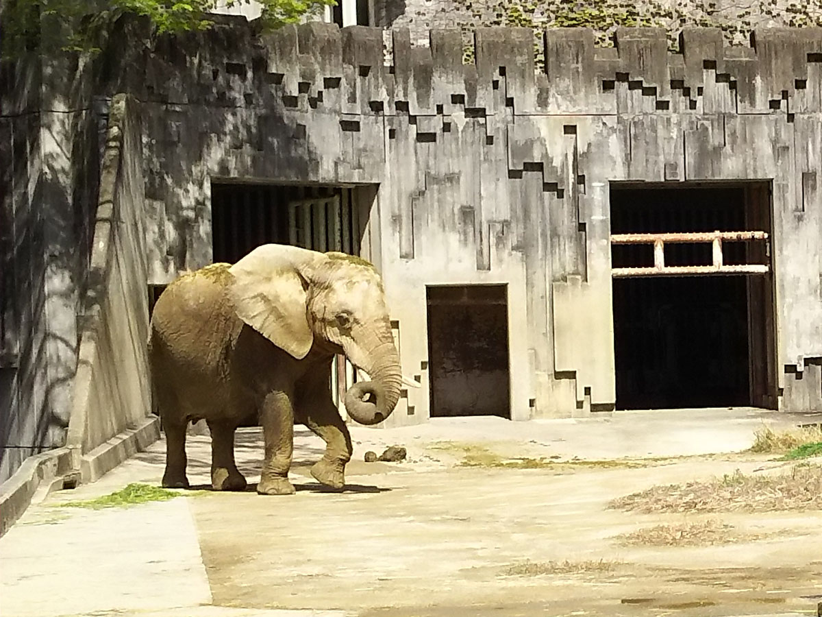Higashiyama Zoo and Botanical Gardens and Higashiyama Sky Tower