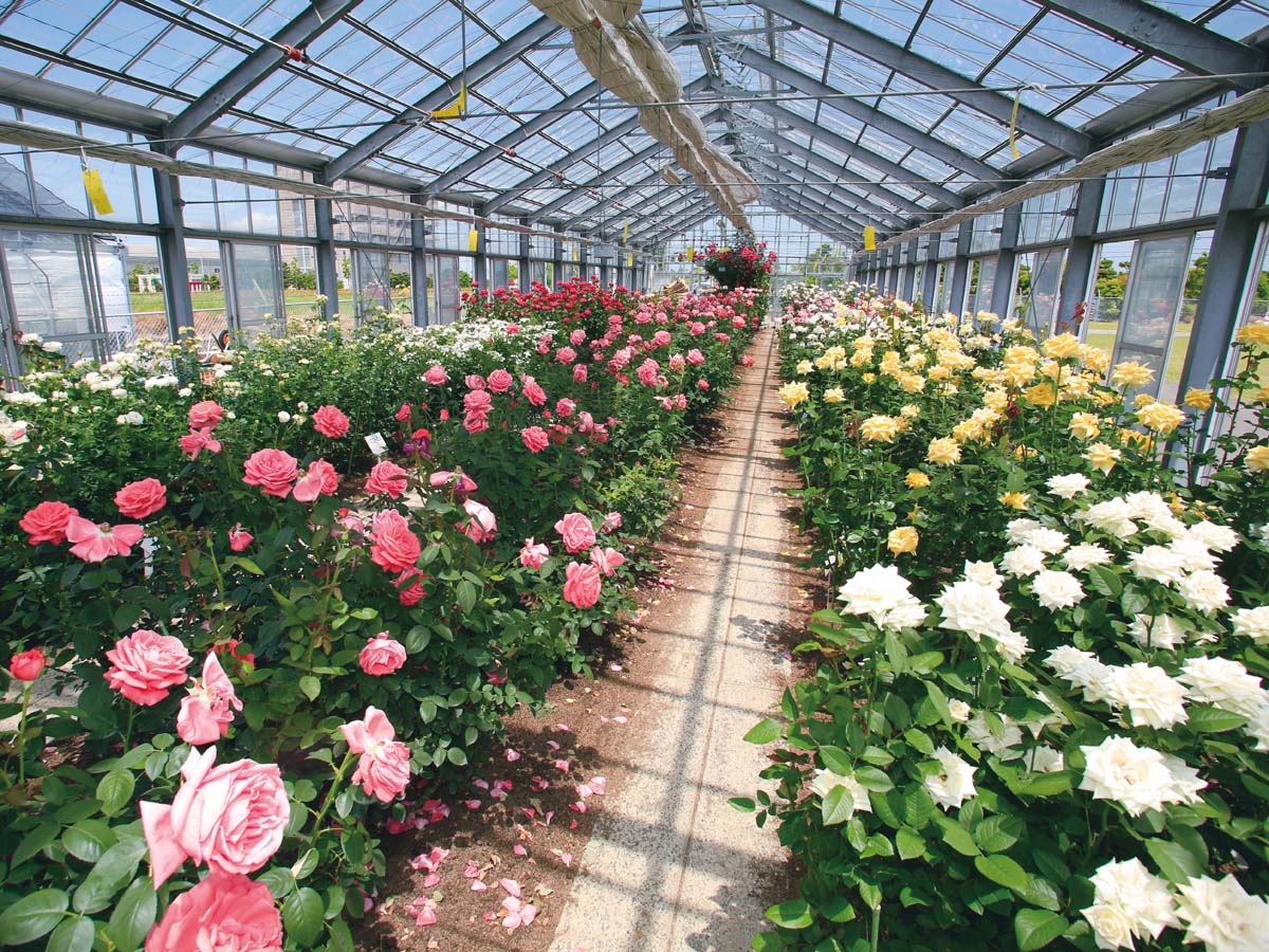 Nishio City Ikoi-no-Noen (Relax Farm)