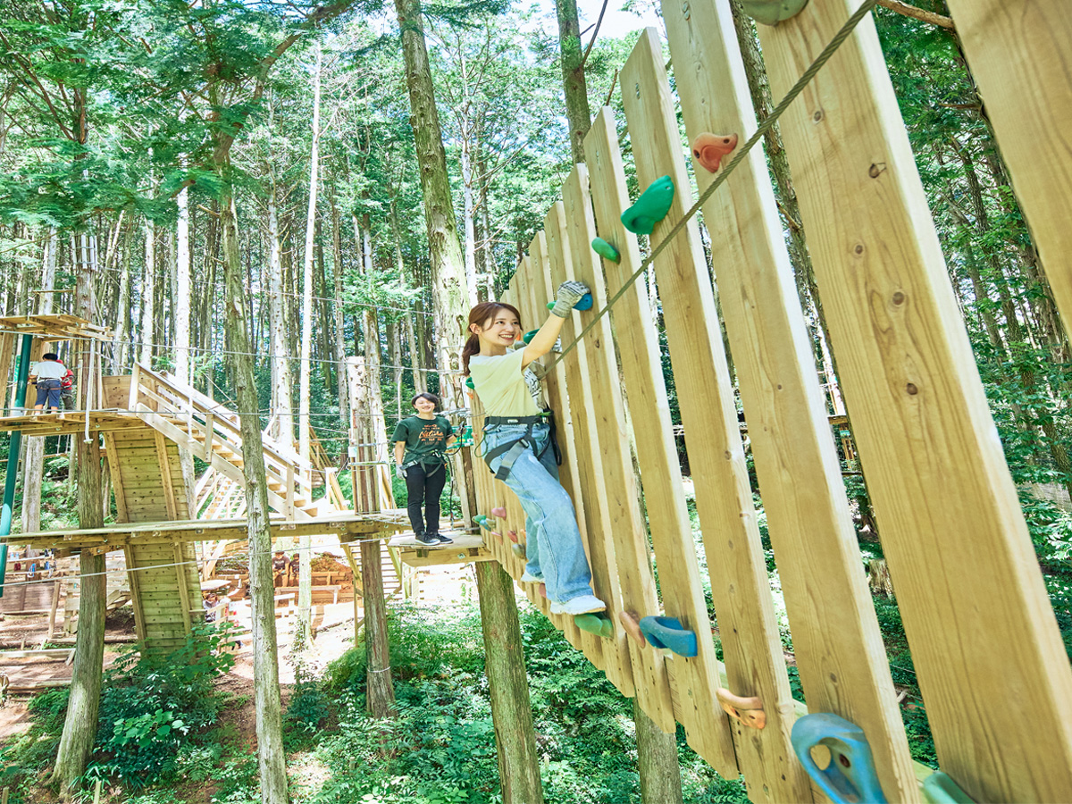 Forest Adventure SHINSHIRO