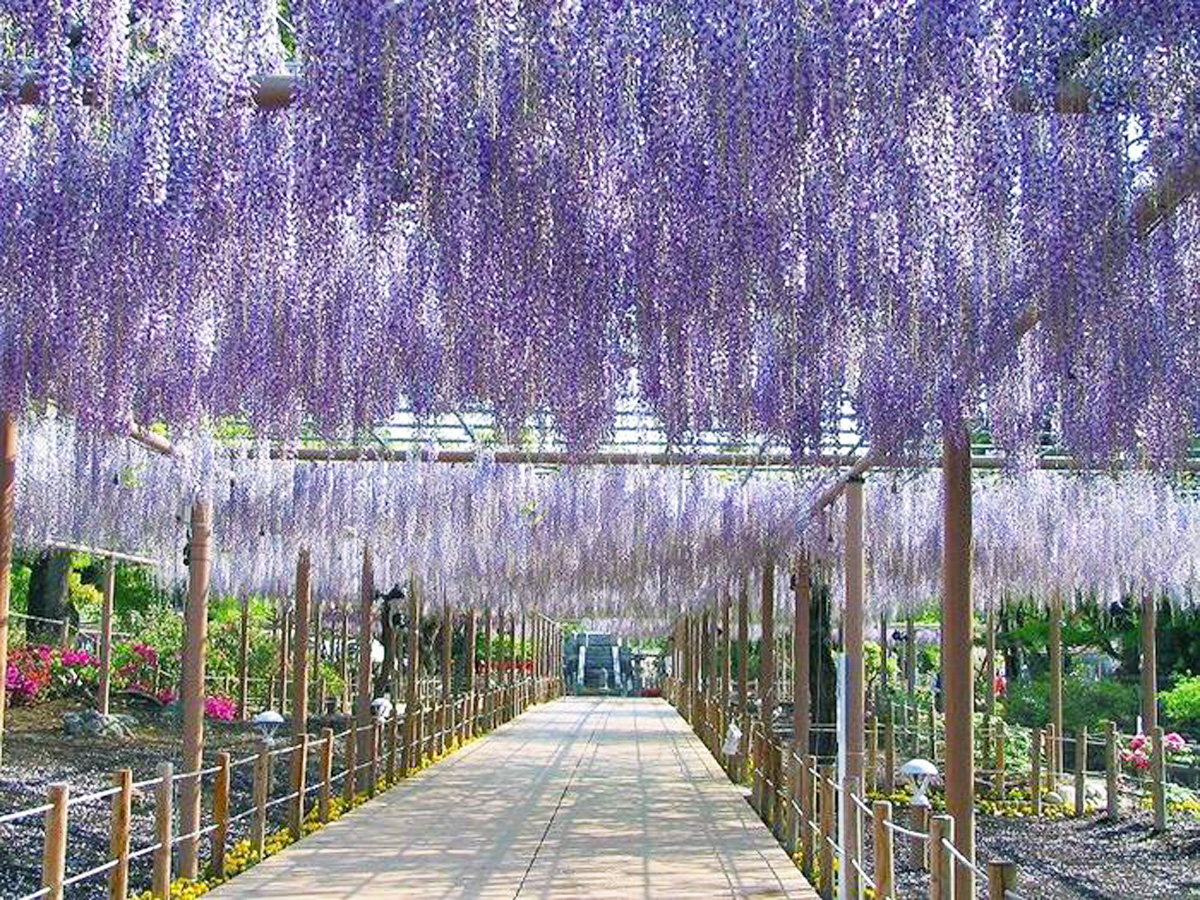 สวนมันดะระจิ