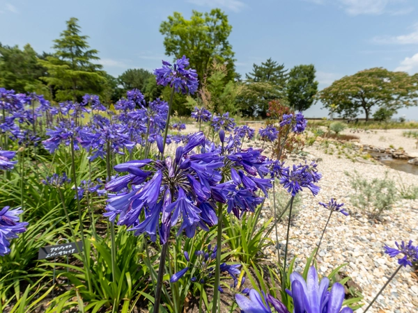Megrass Garden Nagoya