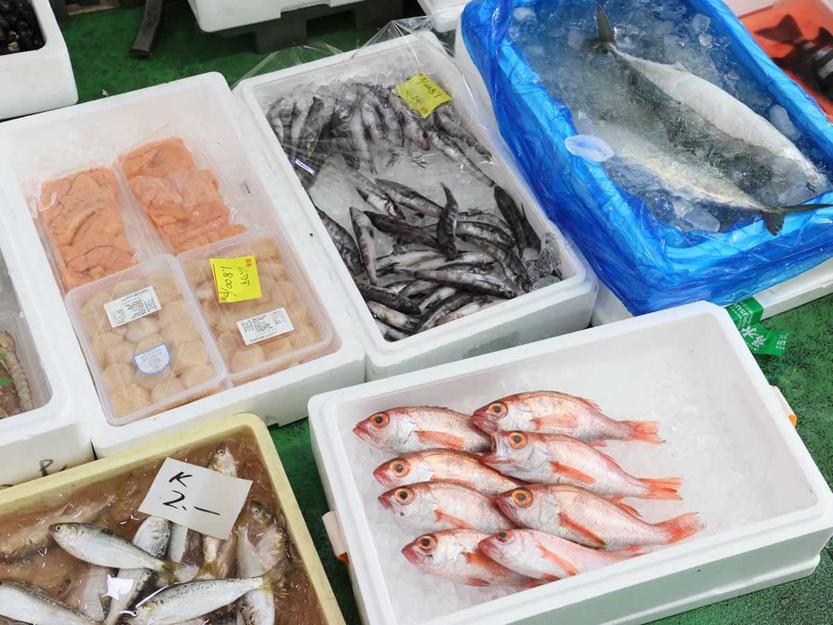 Yanagibashi Central Market