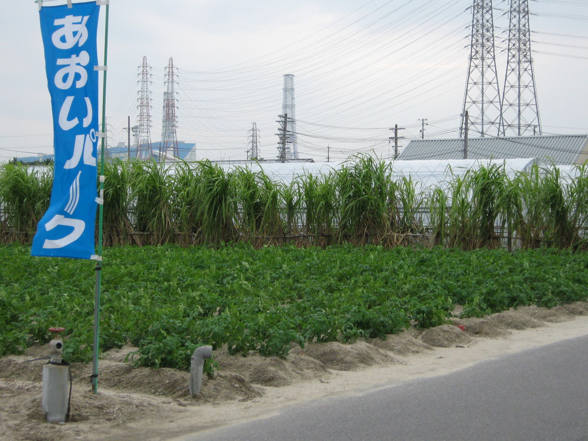 碧南市農業活性化センター あおいパーク