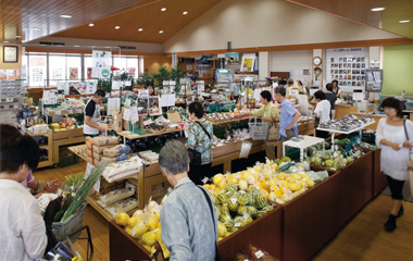 Roadside Station "Michi-no-Eki" Nishio Okanoyama