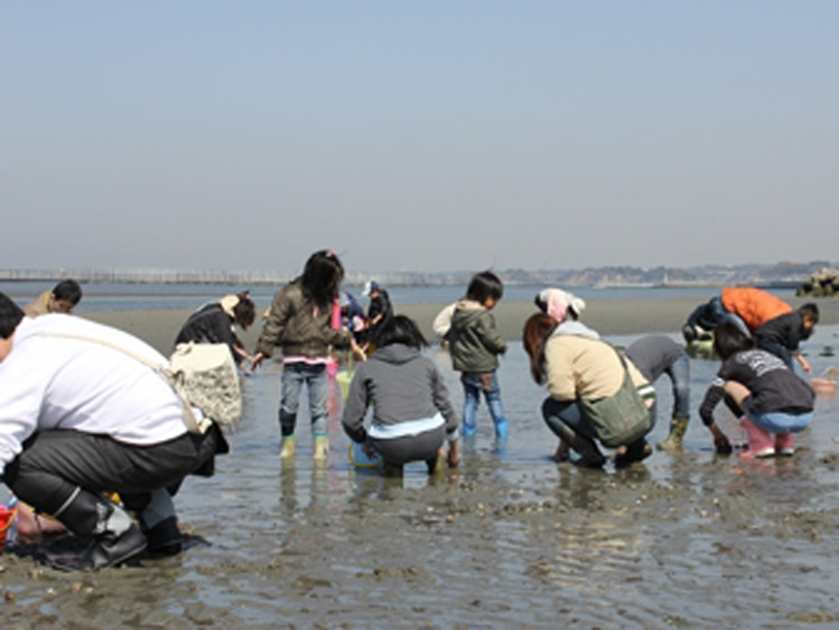 坂井海岸（坂井海水浴場）