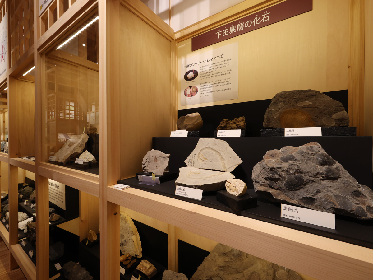 奥三河郷土館