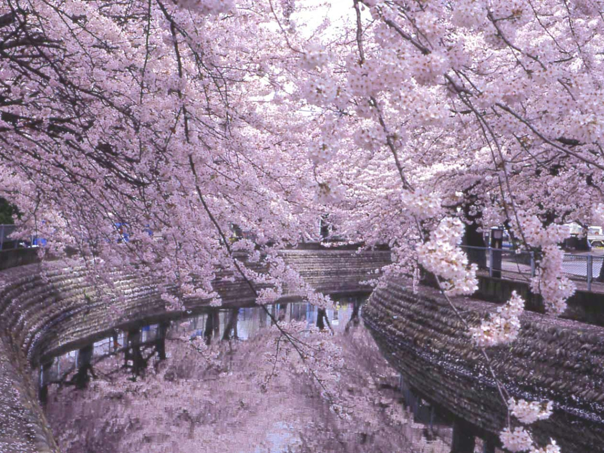 大江川綠道