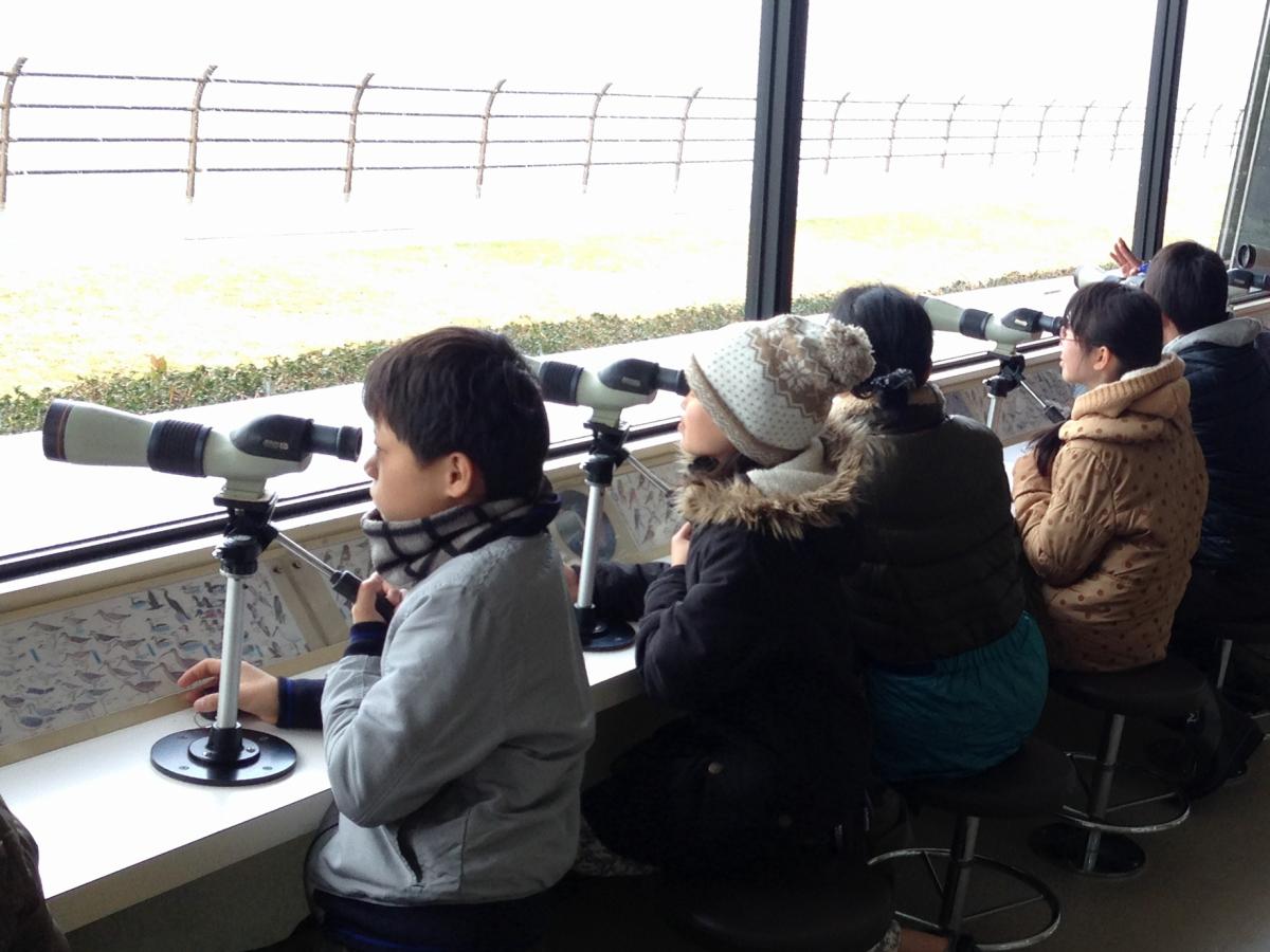 名古屋市野鳥観察館