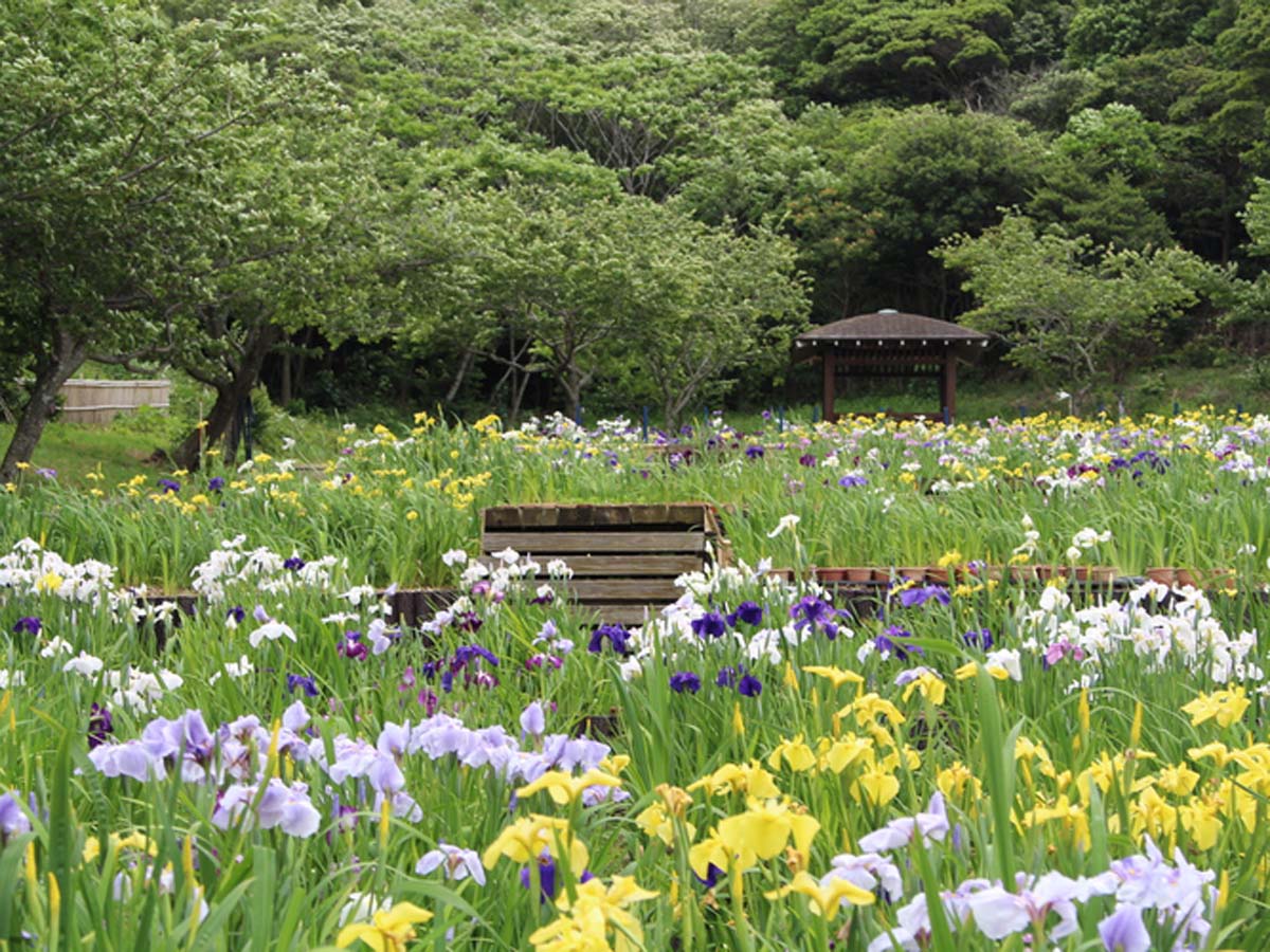 初立池公園