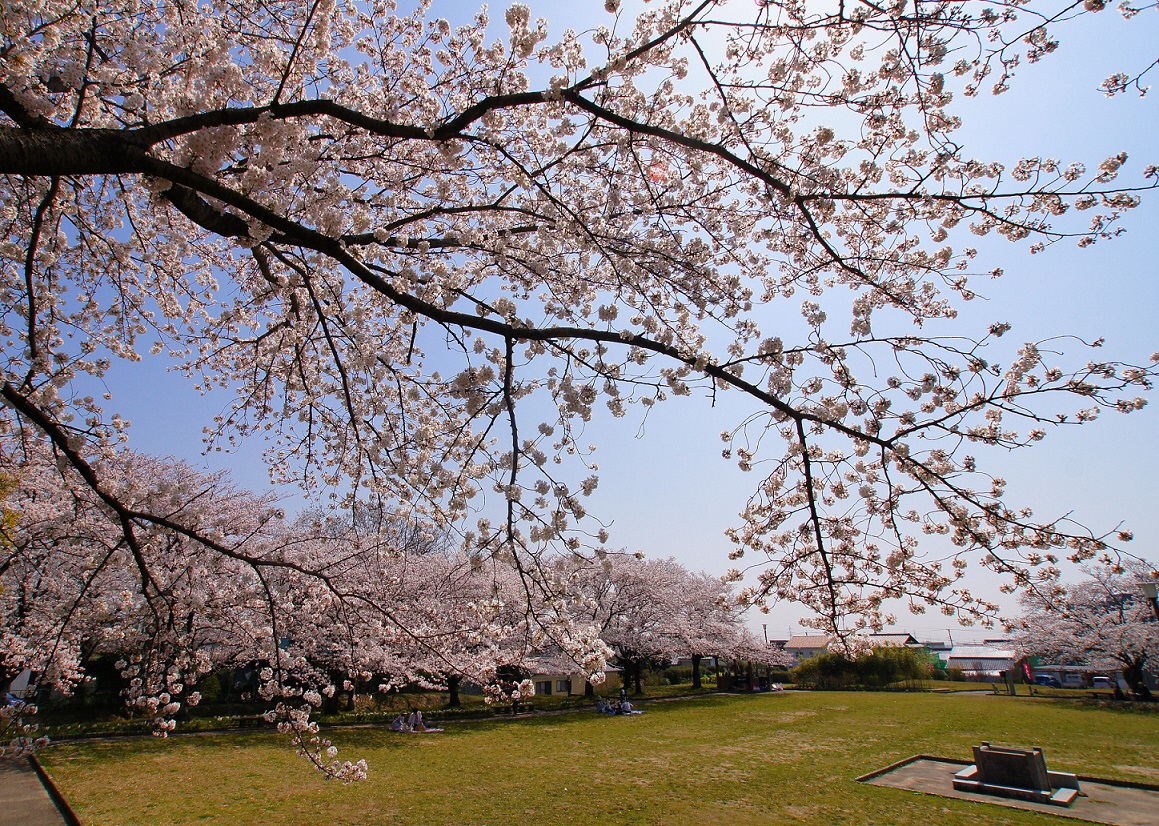 沓掛城址公園