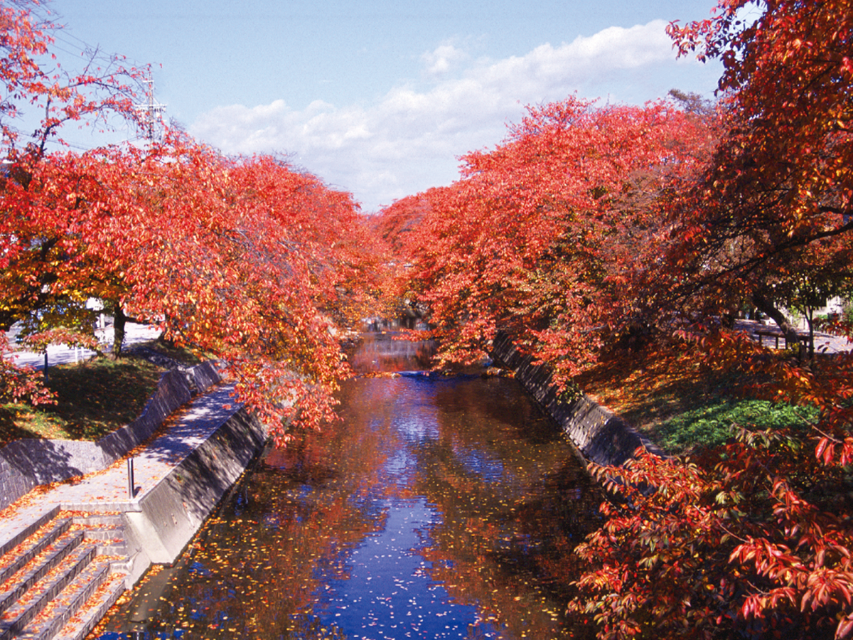 五条川・秋