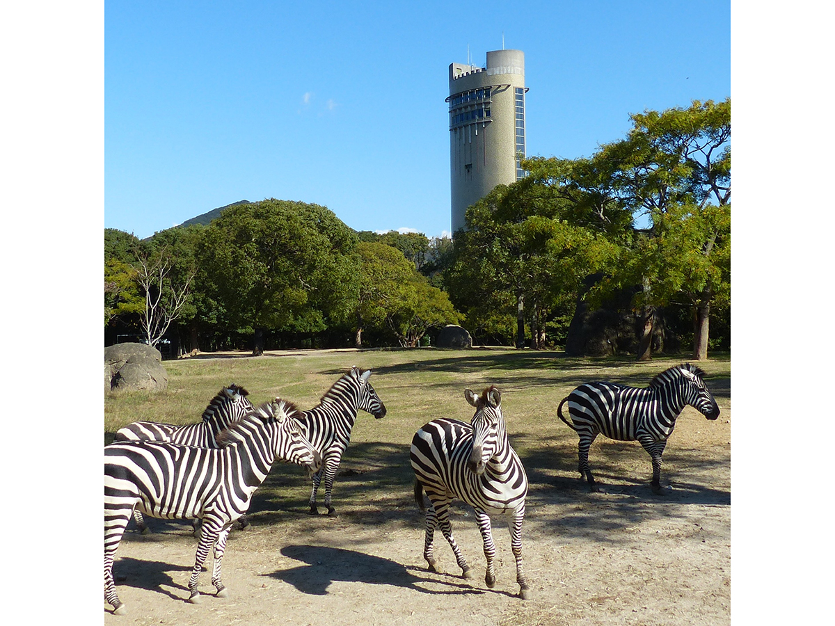 豊橋総合動植物公園,のんほいパーク