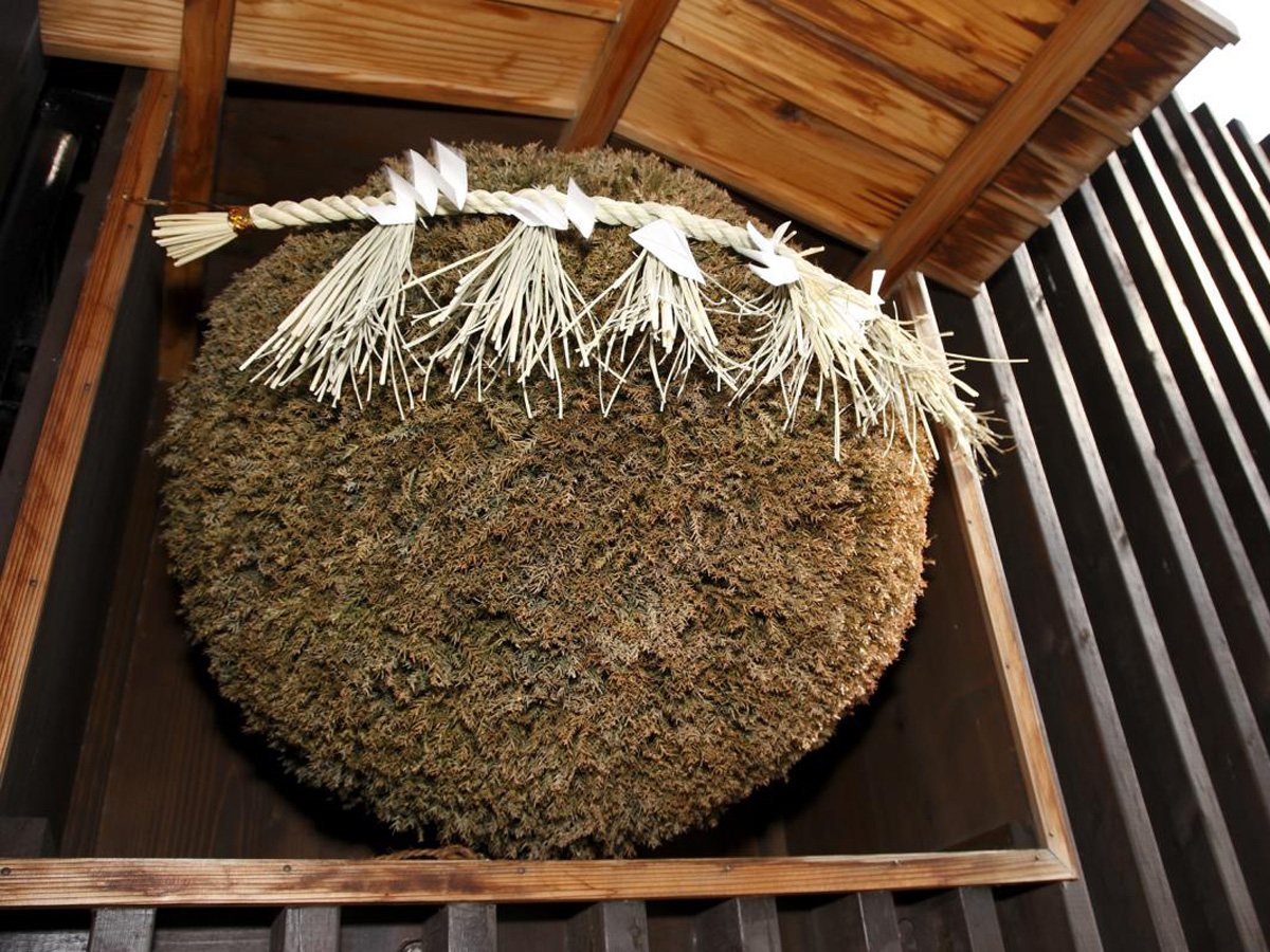 神杉酒造