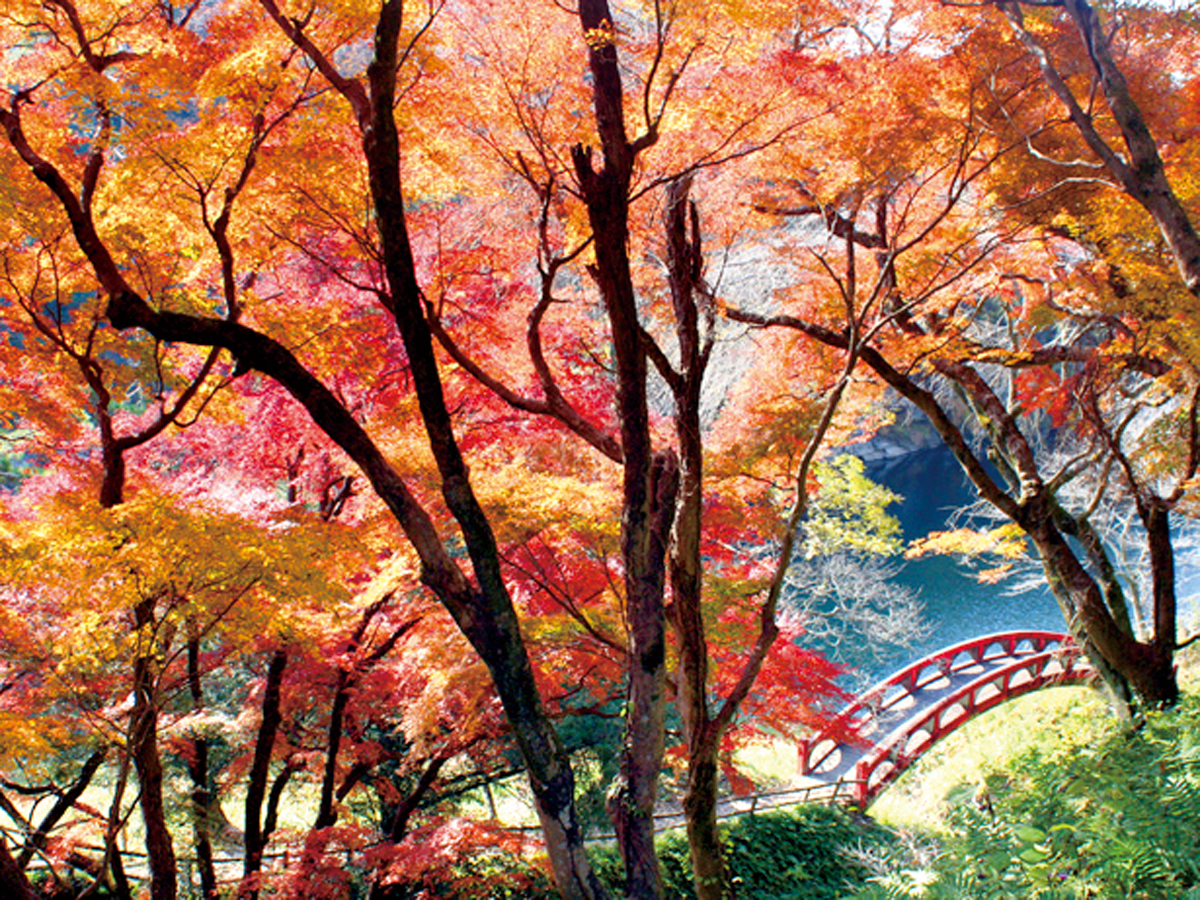 桜淵公園