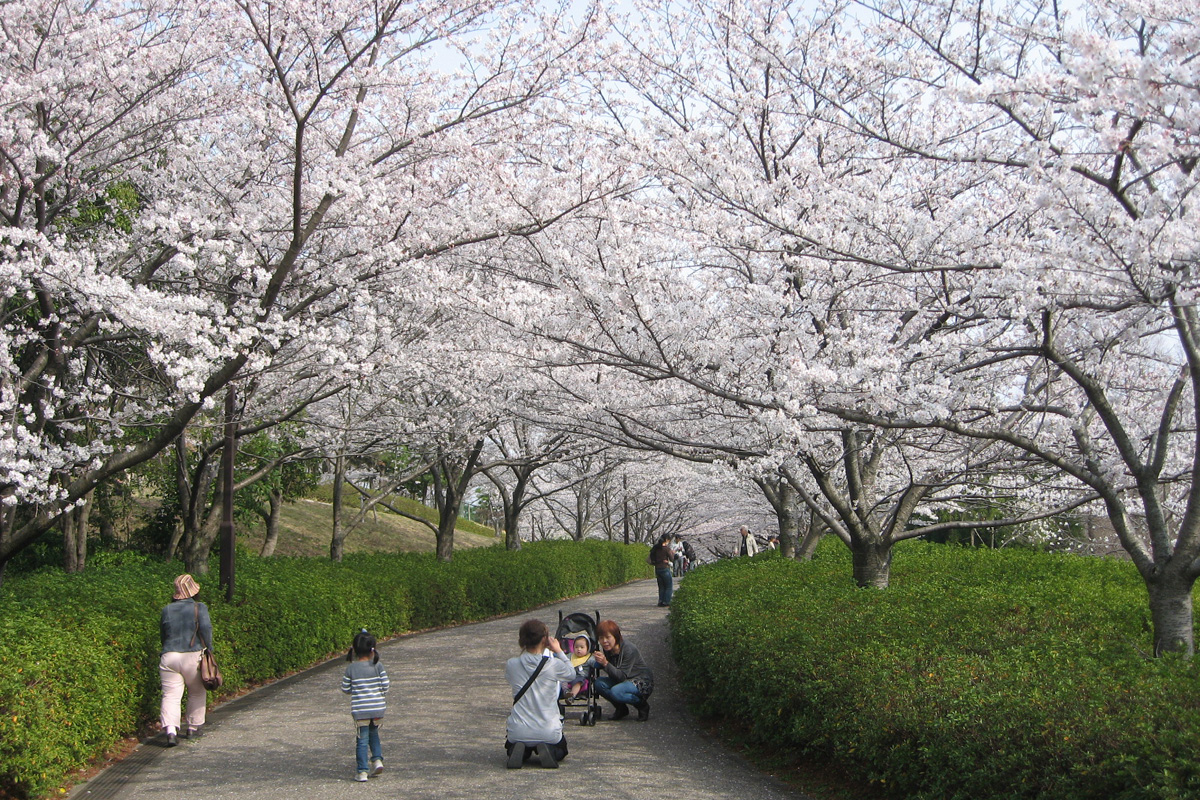 於大公園