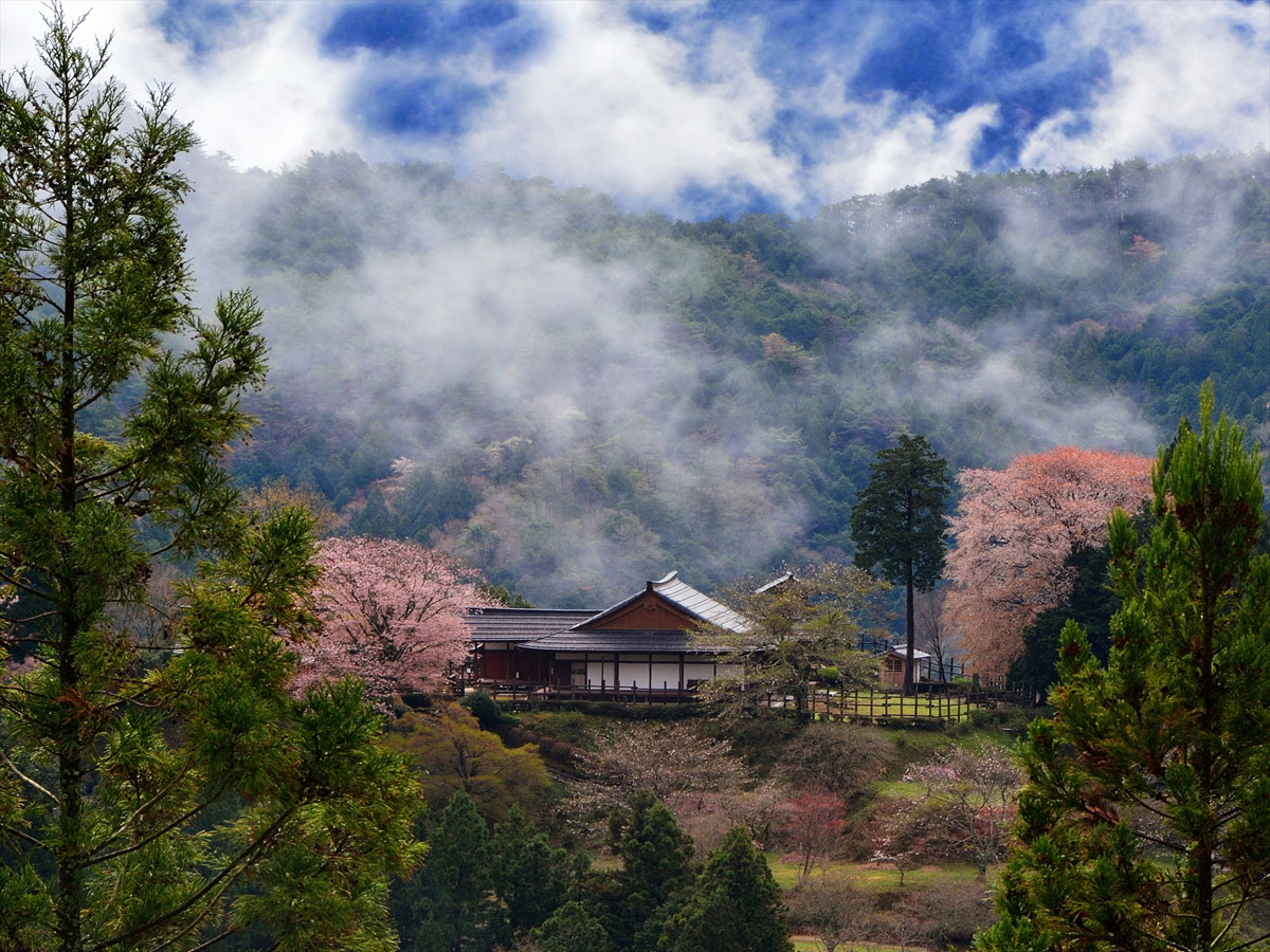 田峯地区