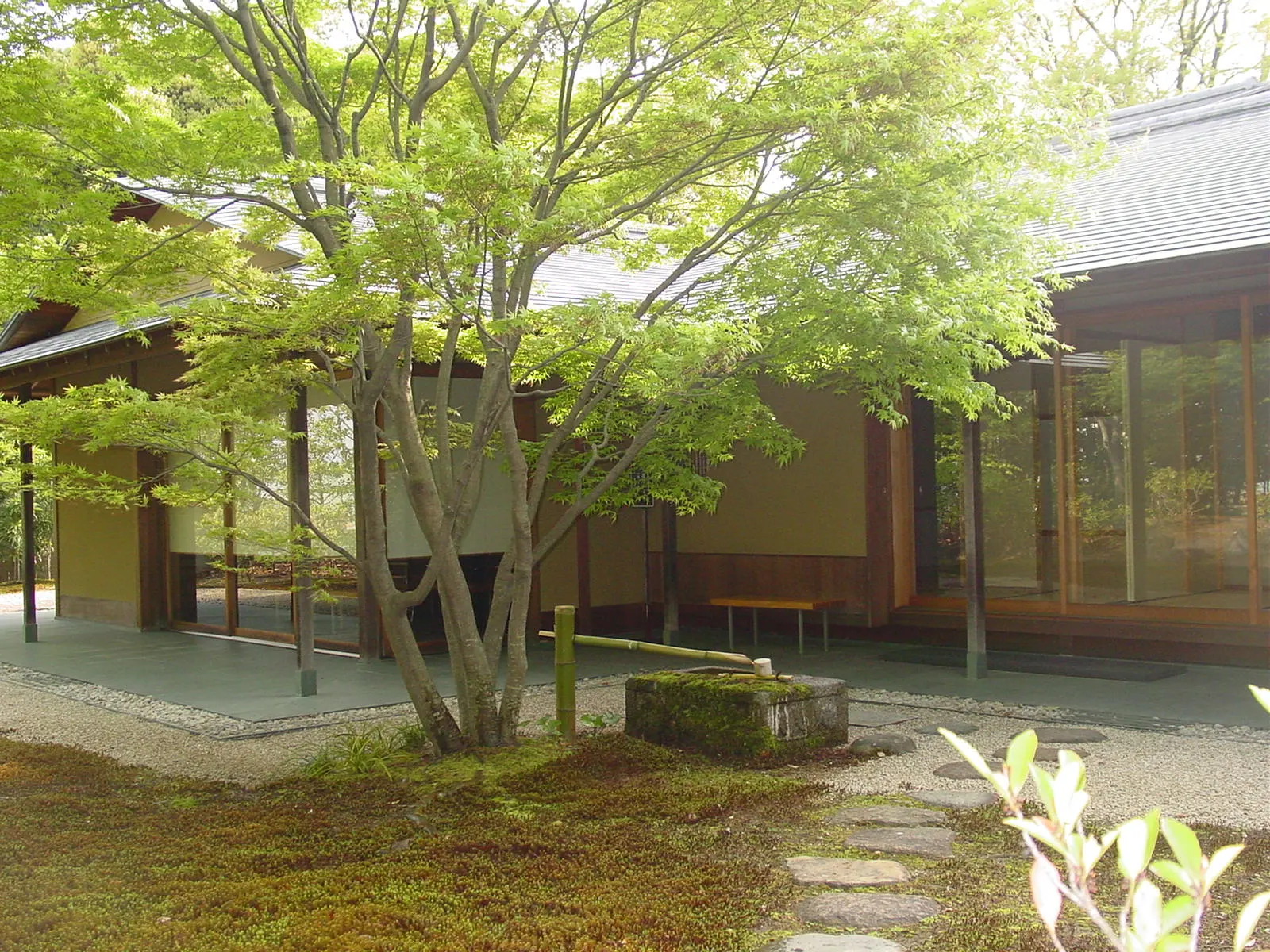 豊田市美術館