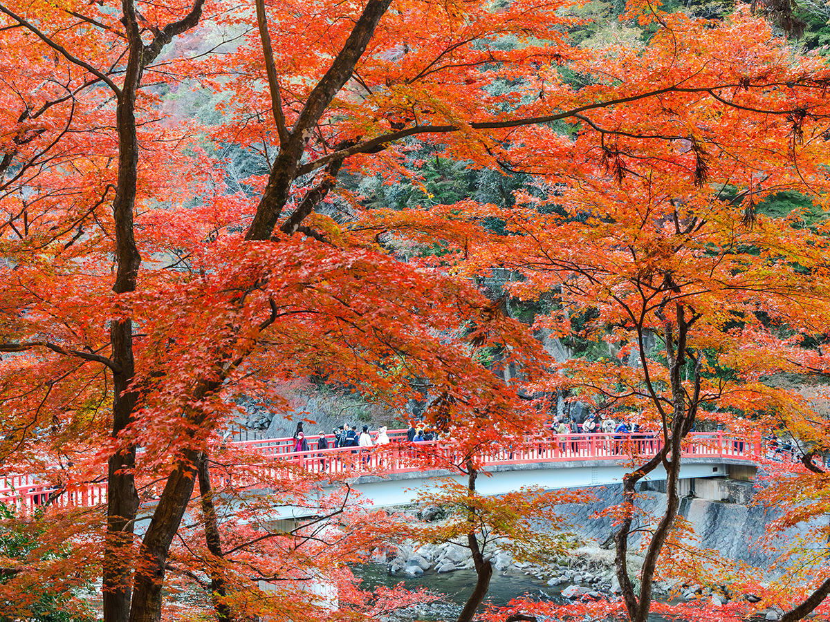 香嵐渓