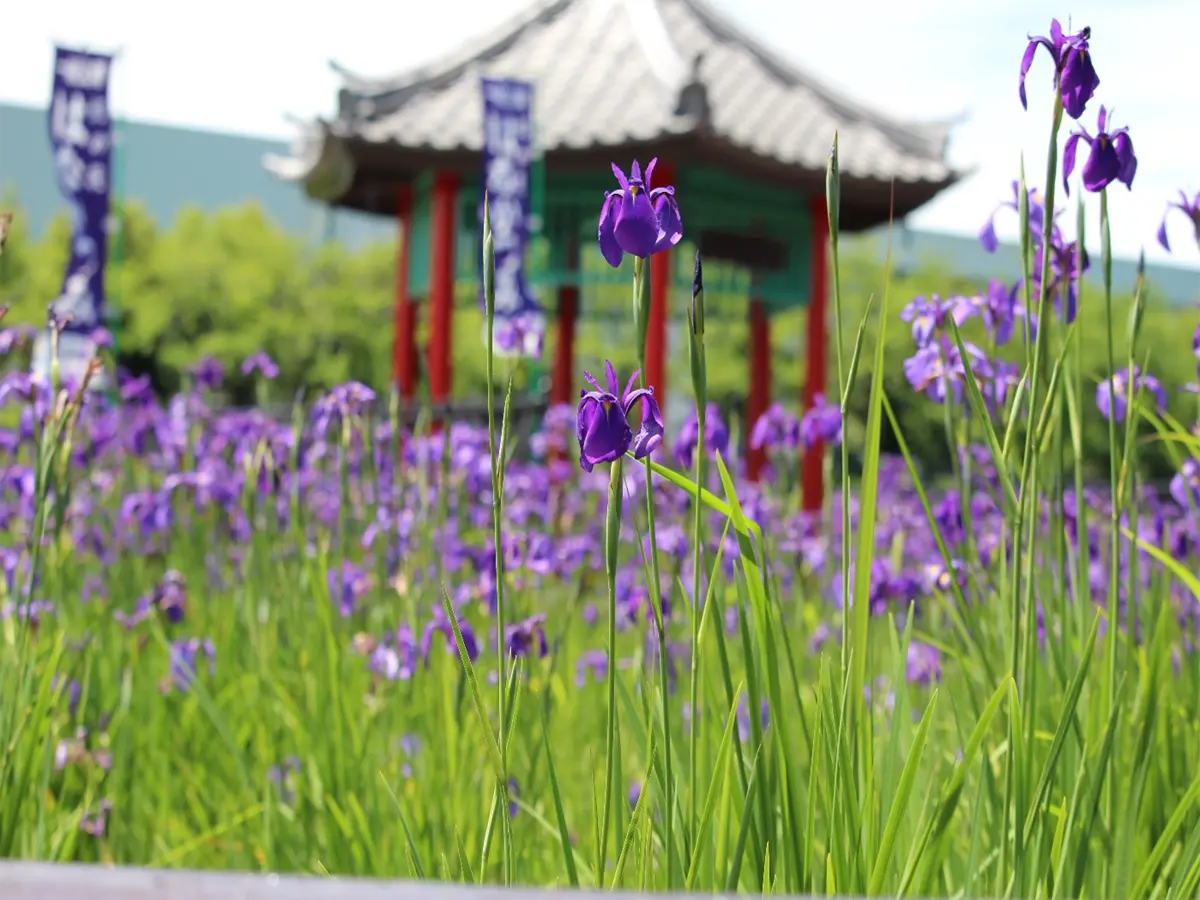 花かつみ園