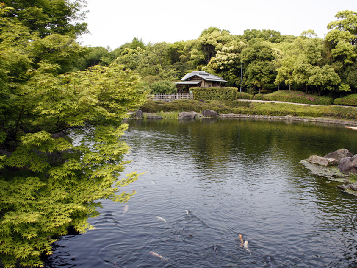 白鳥庭園