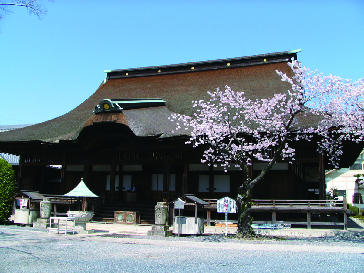 曼陀羅寺