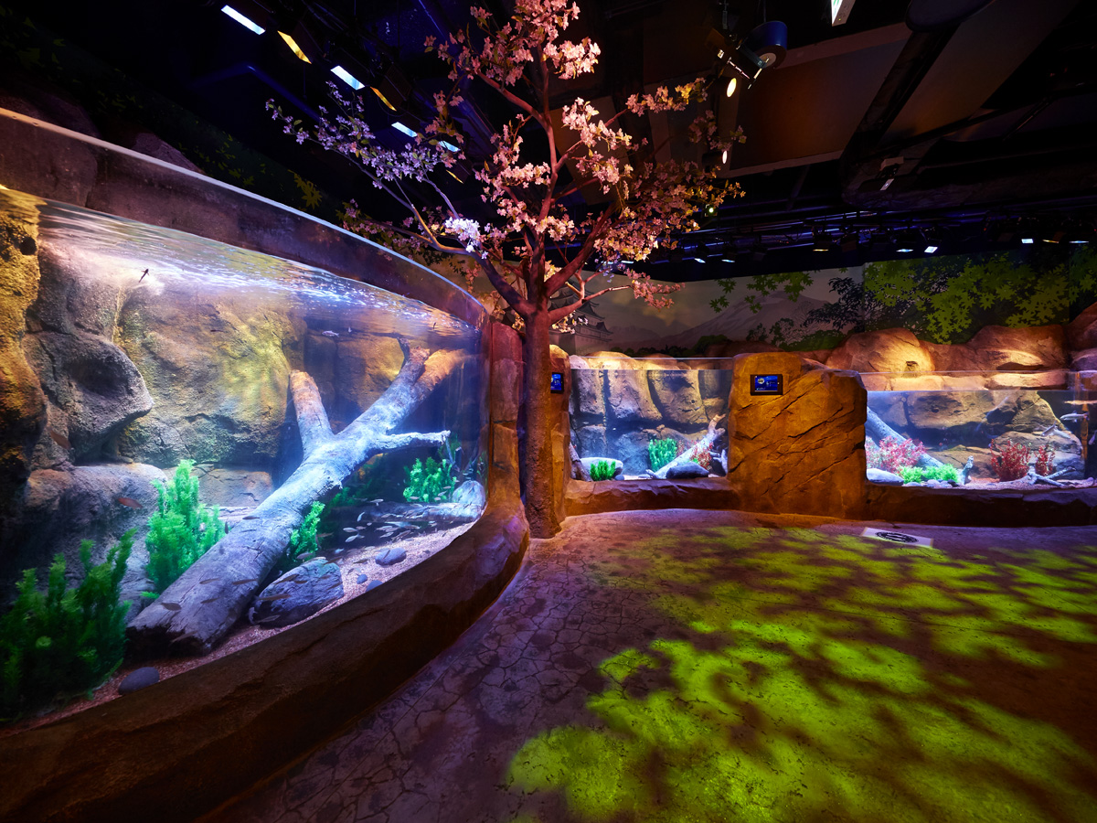 名古屋シーライフ水族館