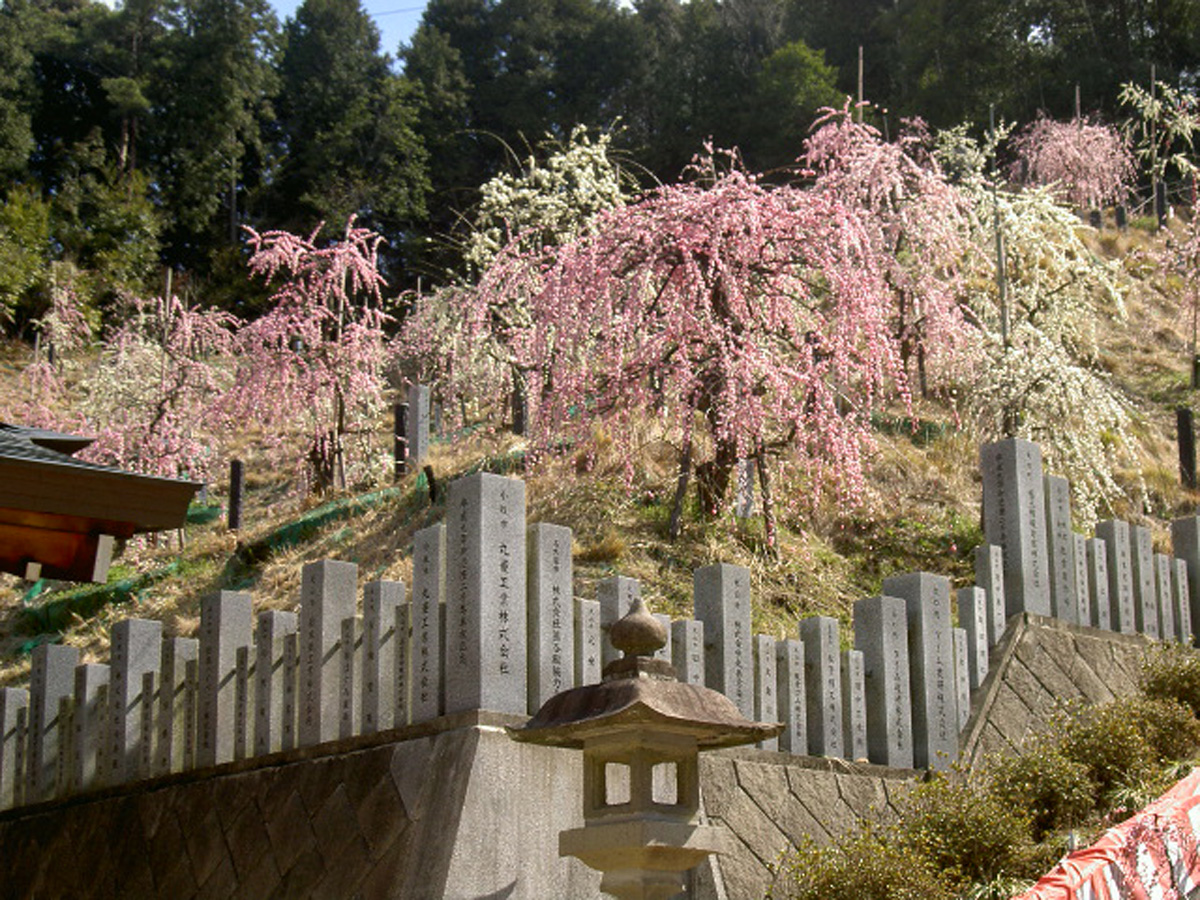 大縣神社(おおあがたじんじゃ）