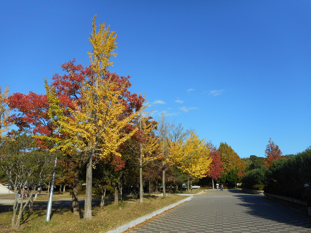 大高緑地