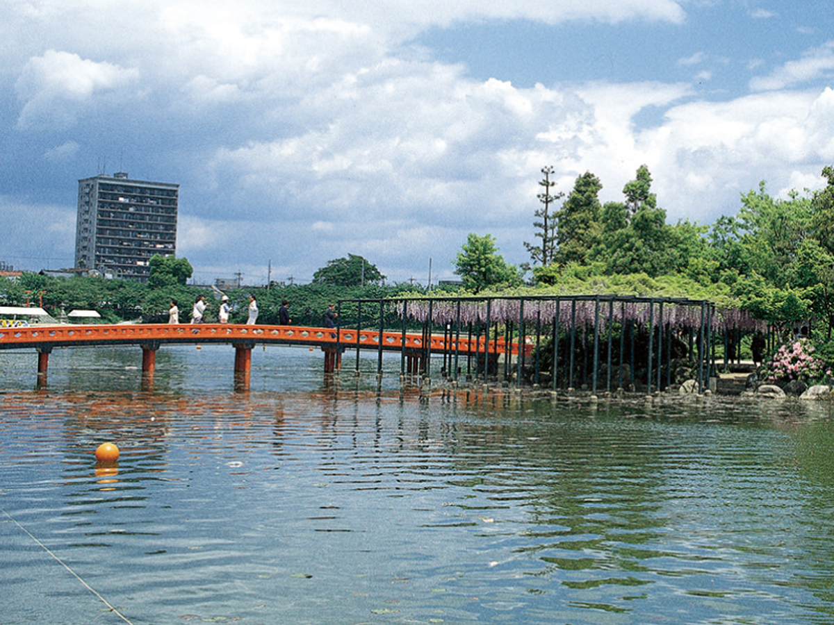 เท็นโนกาวะปาร์ค (เทศกาลวิสเทเรีย)