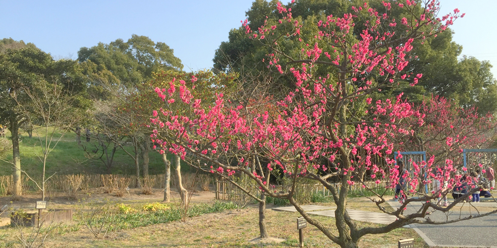佐布里池