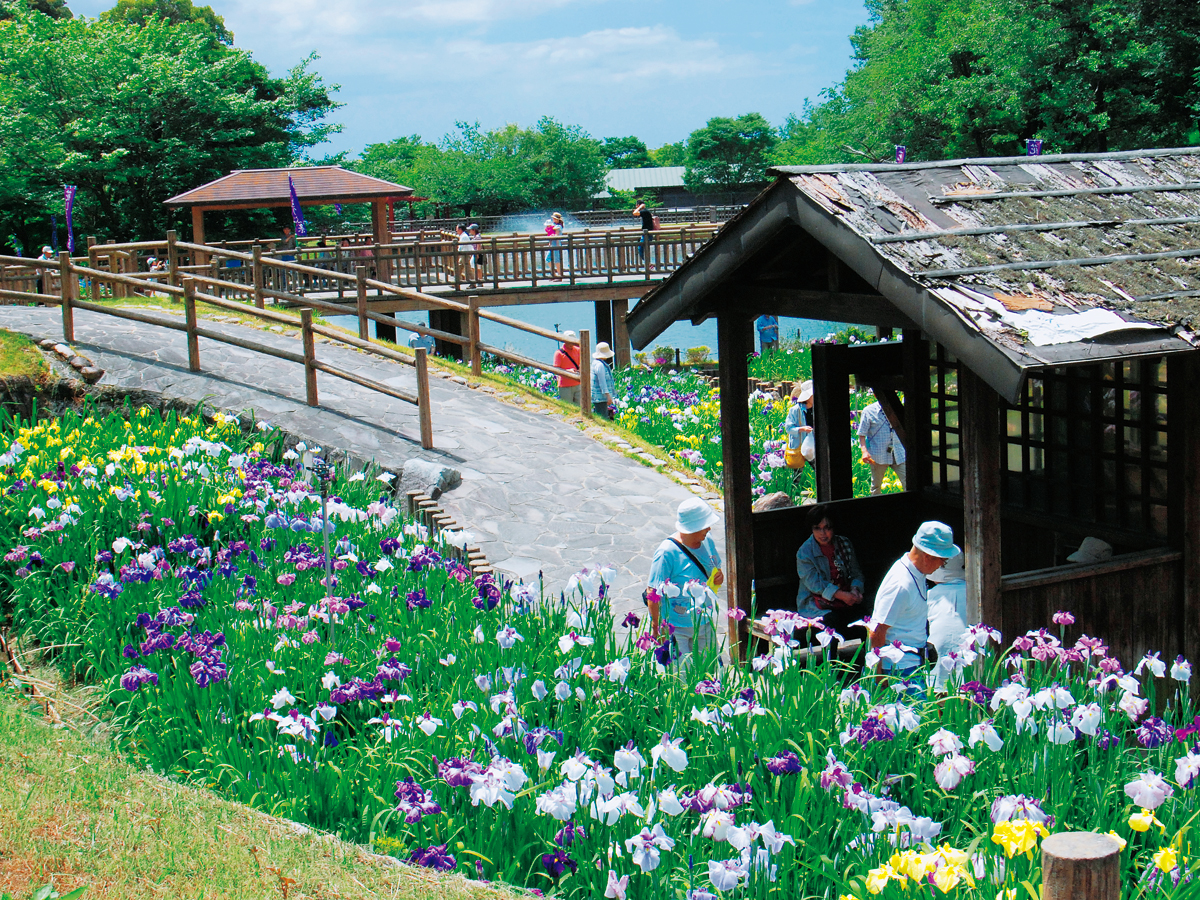 Mt. Akatsuka Park (Akatsukayama Koen)