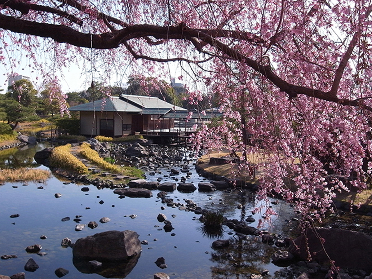白鳥庭園