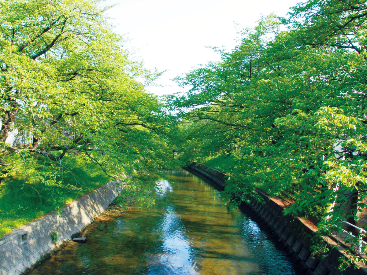 五条川・夏